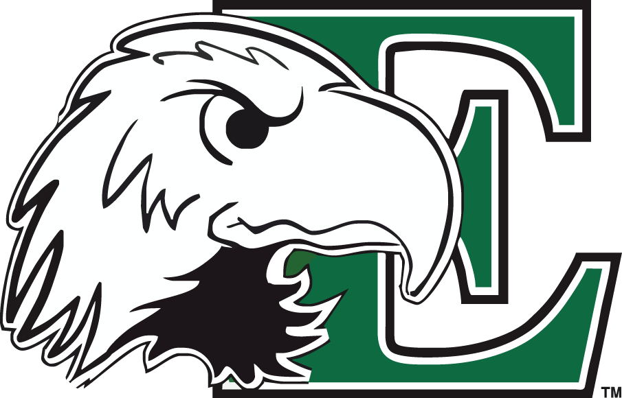 Eastern Michigan Eagles 2003-2012 Primary Logo diy iron on heat transfer